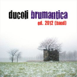 Alessandro-Ducoli-29