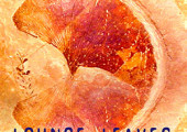 Lounge Leaves Chapter II