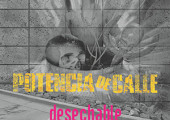 Desechable – Potencia de Calle